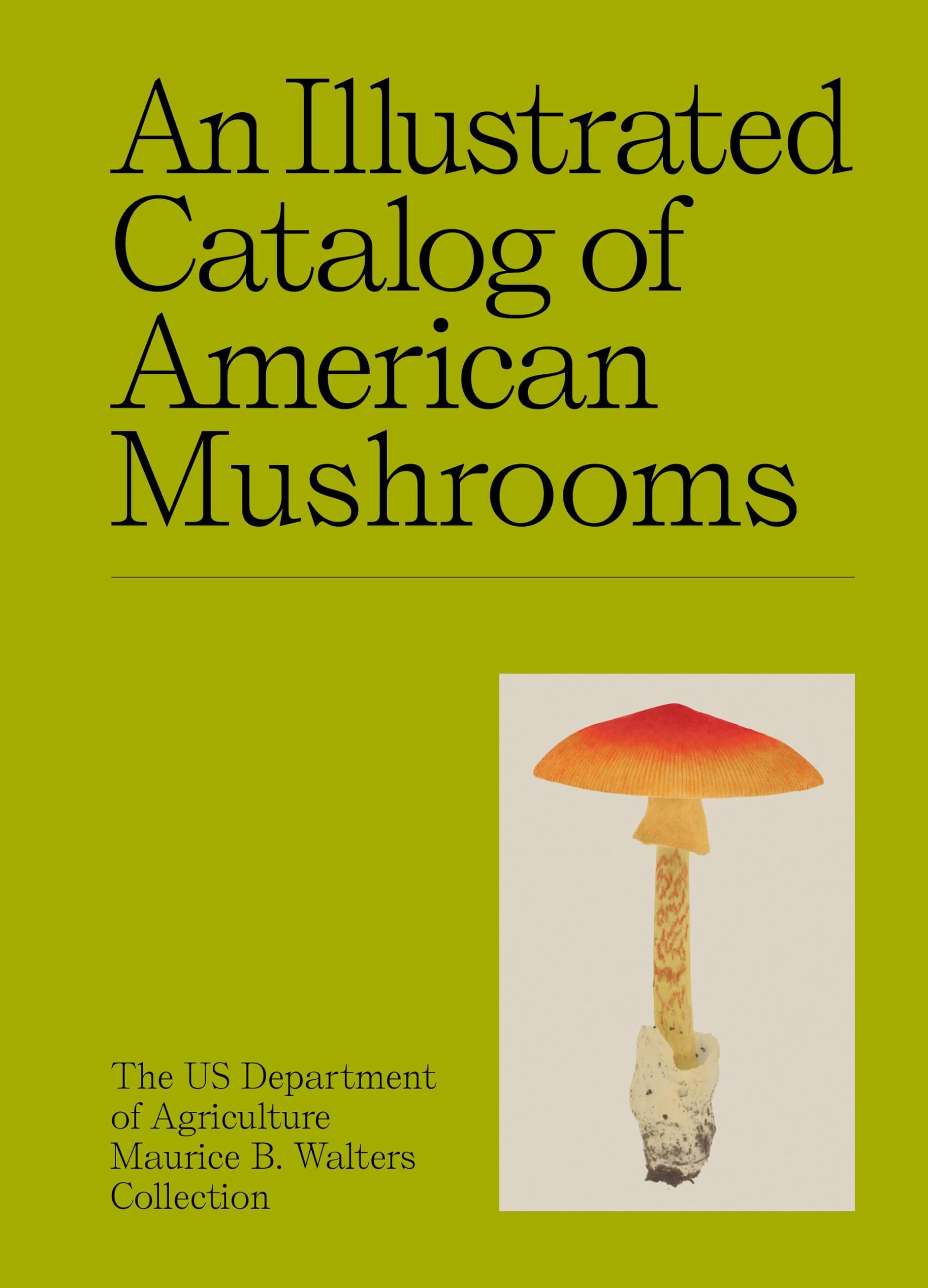 An Illustrated Catalog Of American Mushrooms