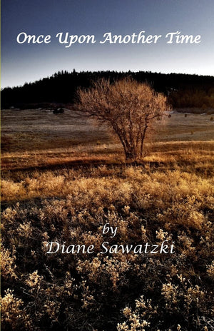 Once Upon Another Time (Once Upon Another Time Trilogy Book 1),Used