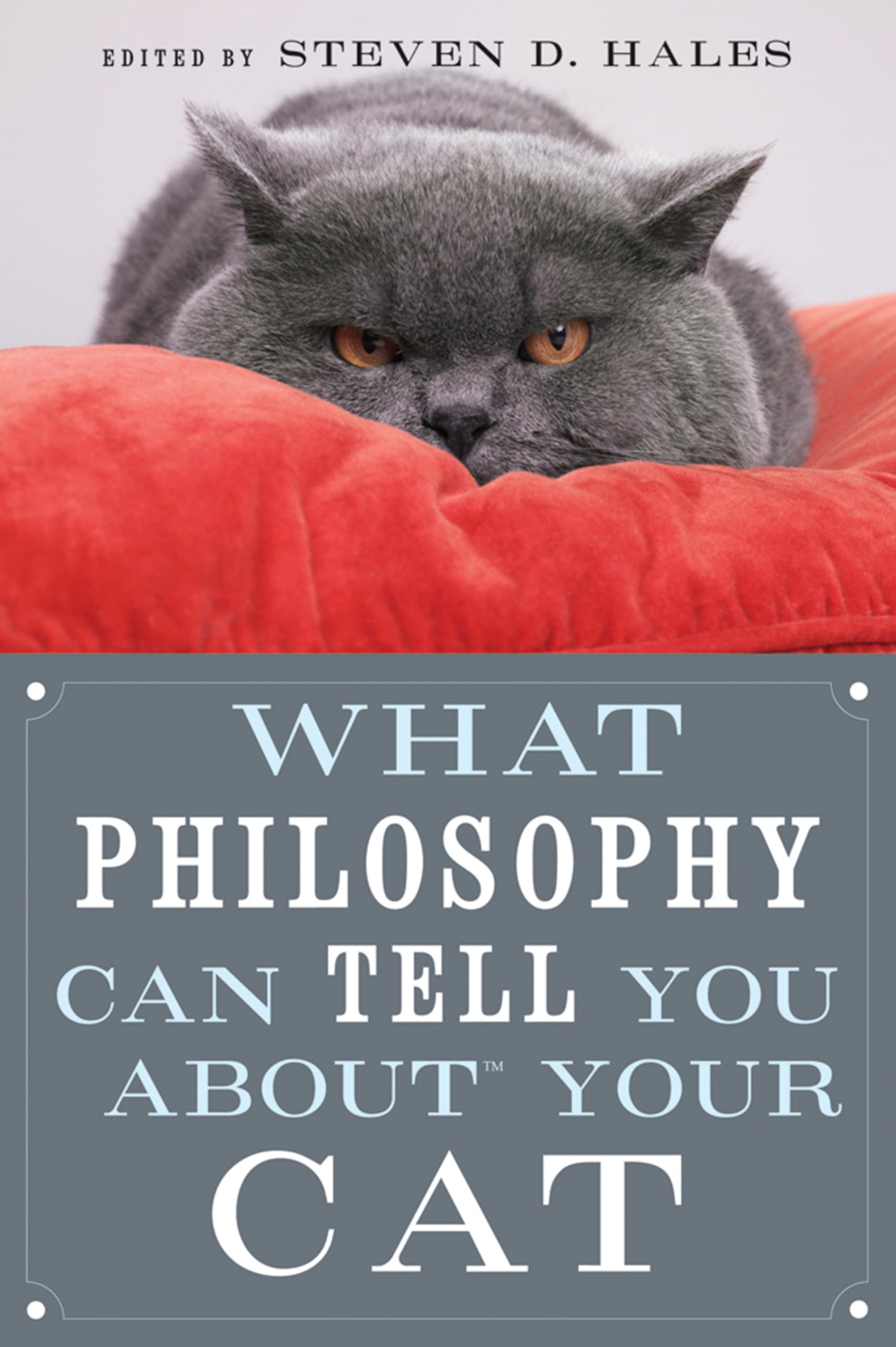 What Philosophy Can Tell You About Your Cat,Used