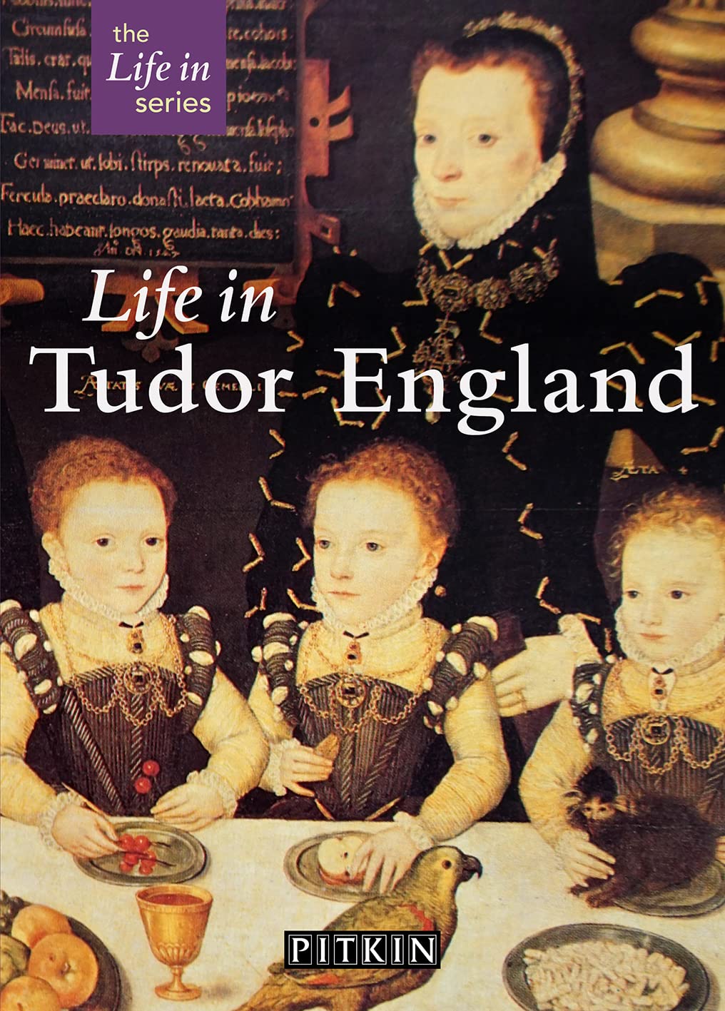 Life in Tudor England (Pitkin Guides),Used