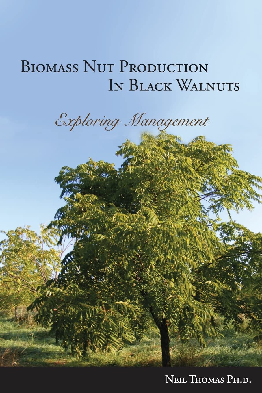 Biomass Nut Production in Black Walnut,Used
