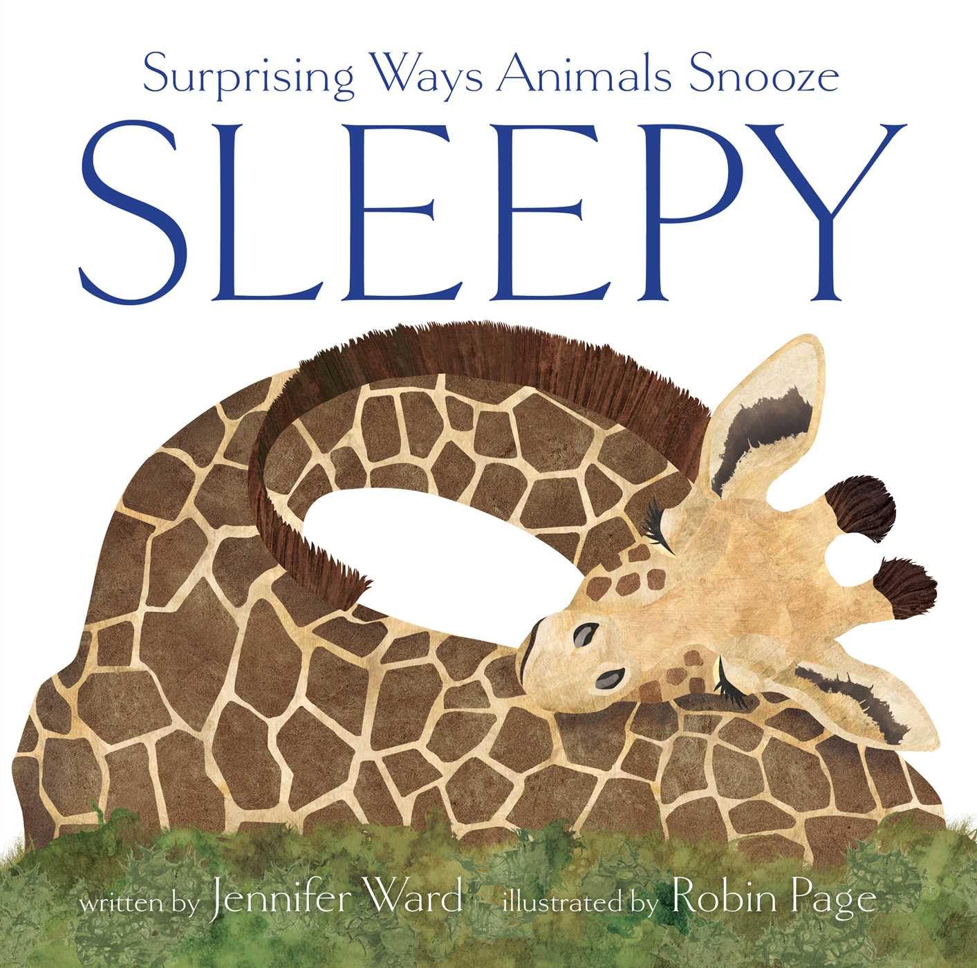 Sleepy: Surprising Ways Animals Snooze,New
