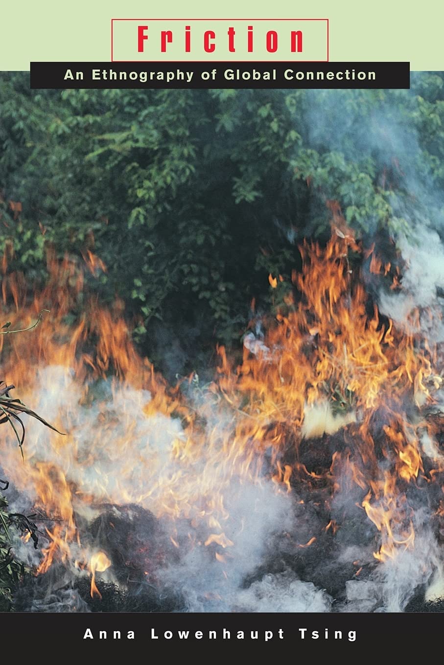 Friction: An Ethnography of Global Connection,Used