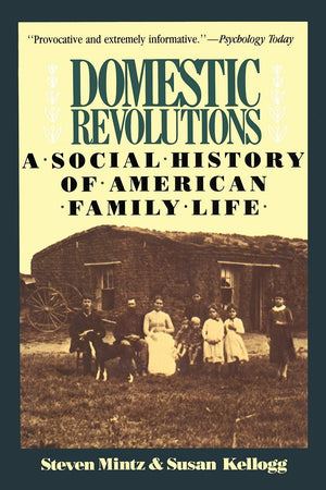 Domestic Revolutions: A Social History Of American Family Life,New
