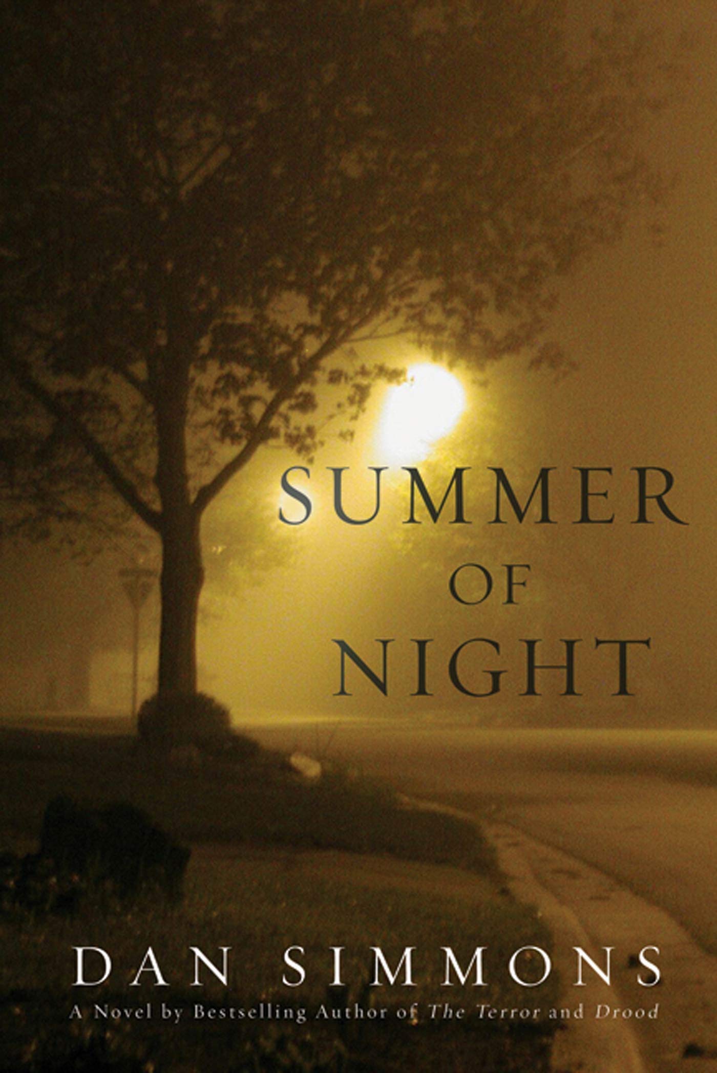 Summer Of Night: A Novel