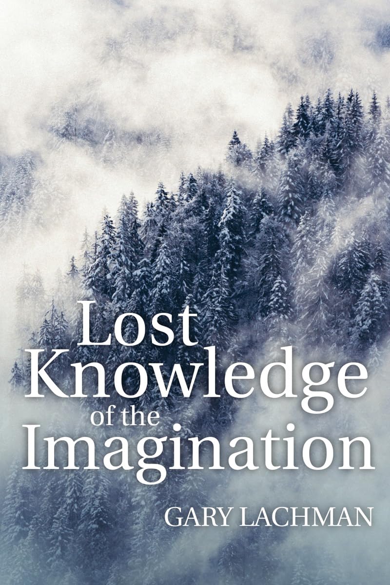 Lost Knowledge of the Imagination,Used