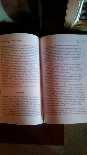 Essential Literary Terms: A Brief Norton Guide With Exercises,New