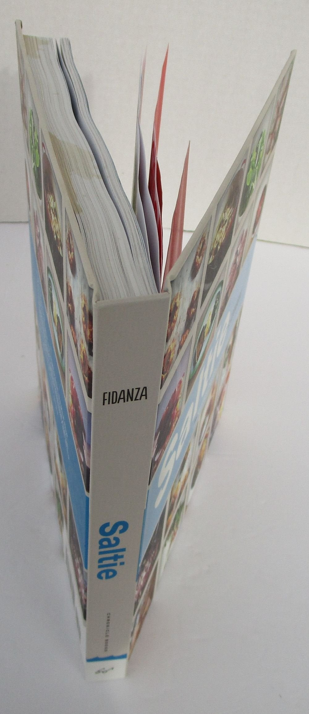 Saltie: A Cookbook,Used