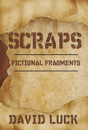 Scraps: Fictional Fragments,Used