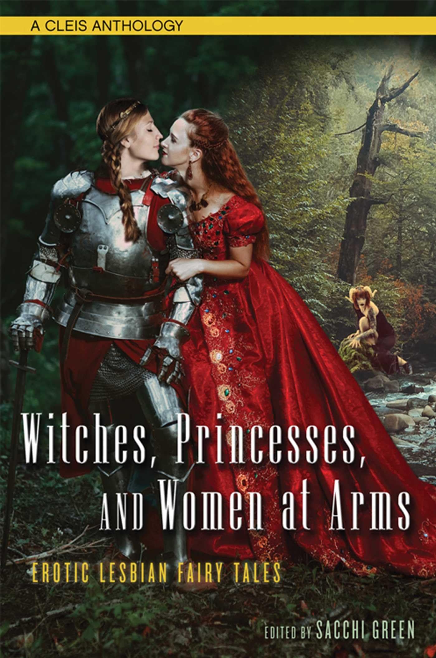 Witches, Princesses, and Women at Arms: Erotic Lesbian Fairy Tales,Used