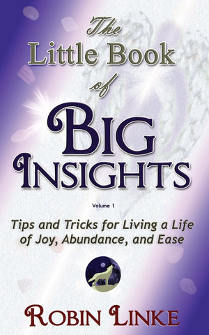 The Little Book of BIG Insights Volume I: Tips and Tricks for living a life of Joy, Abundance, and Ease,New