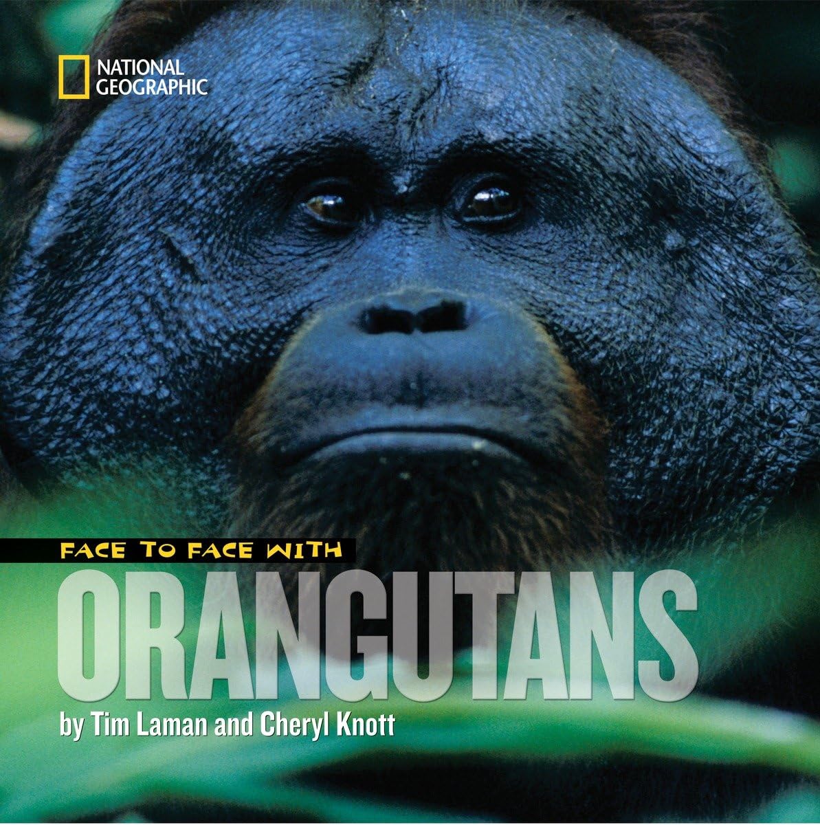 Face to Face With Orangutans (Face to Face with Animals),Used
