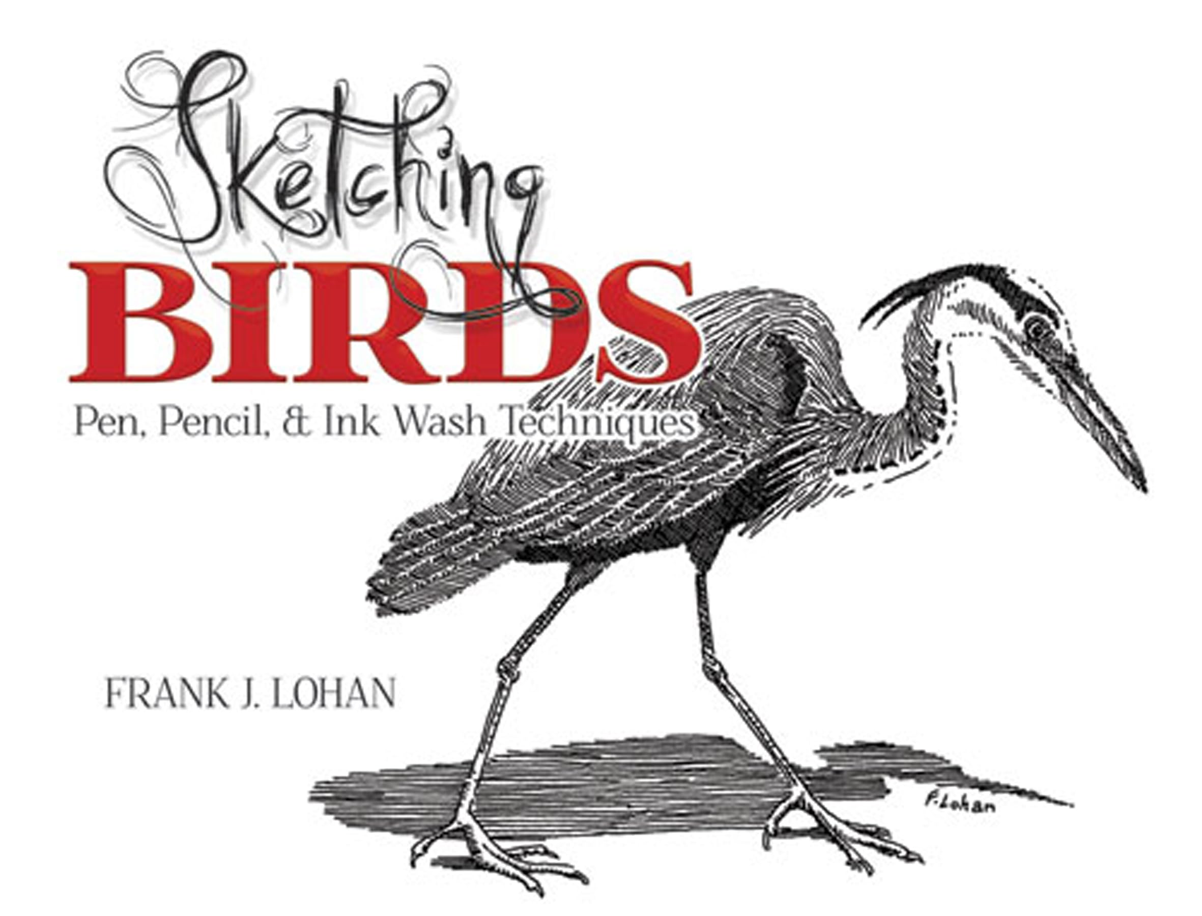 Sketching Birds: Pen, Pencil, and Ink Wash Techniques (Dover Art Instruction),Used