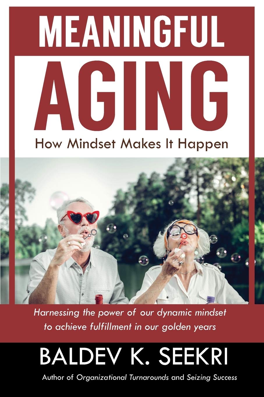 Meaningful Aging: How Mindset Makes It Happen: Harnessing the power of our dynamic mindset to achieve fulfillment in our golden ,Used