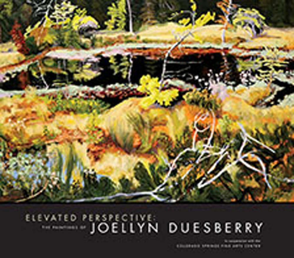 Elevated Perspective: The Paintings of Joellyn Duesberry,New