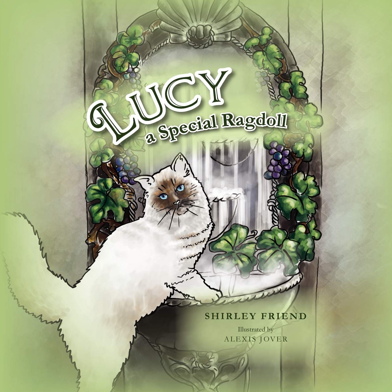 Lucy A Special Ragdoll,Used