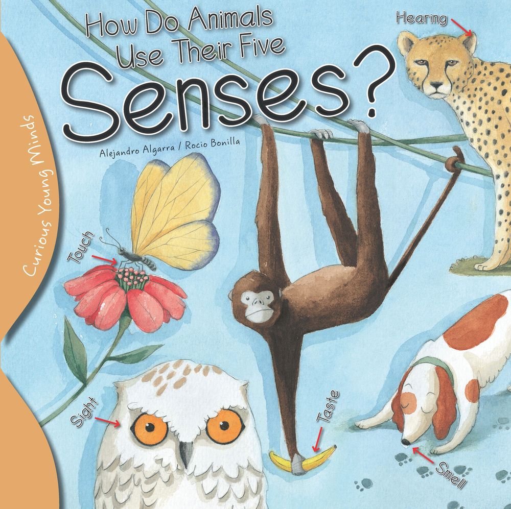 How Do Animals Use Their Five Senses? (Curious Young Minds),Used