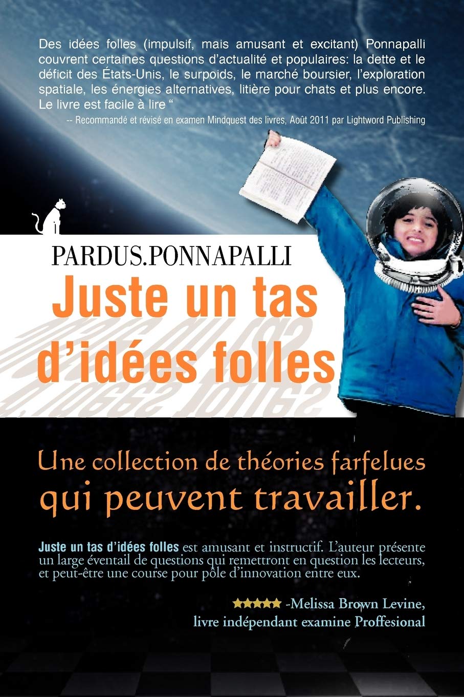 Juste Un Tas D'Idees Folles: Une Collection De Thories Farfelues Qui Peuvent Travailler (French Edition),Used