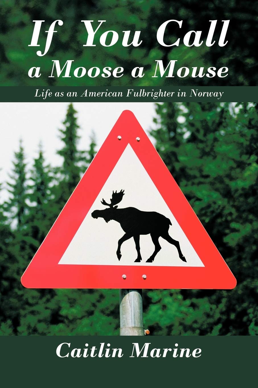 If You Call A Moose A Mouse: Life As An American Fulbrighter In Norway,Used
