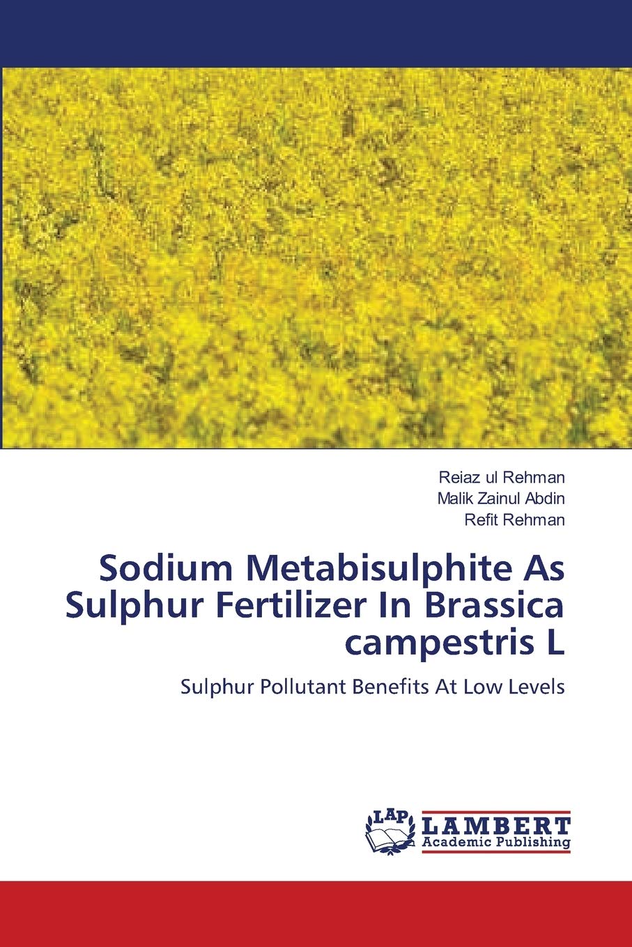 Sodium Metabisulphite As Sulphur Fertilizer In Brassica campestris L: Sulphur Pollutant Benefits At Low Levels,Used