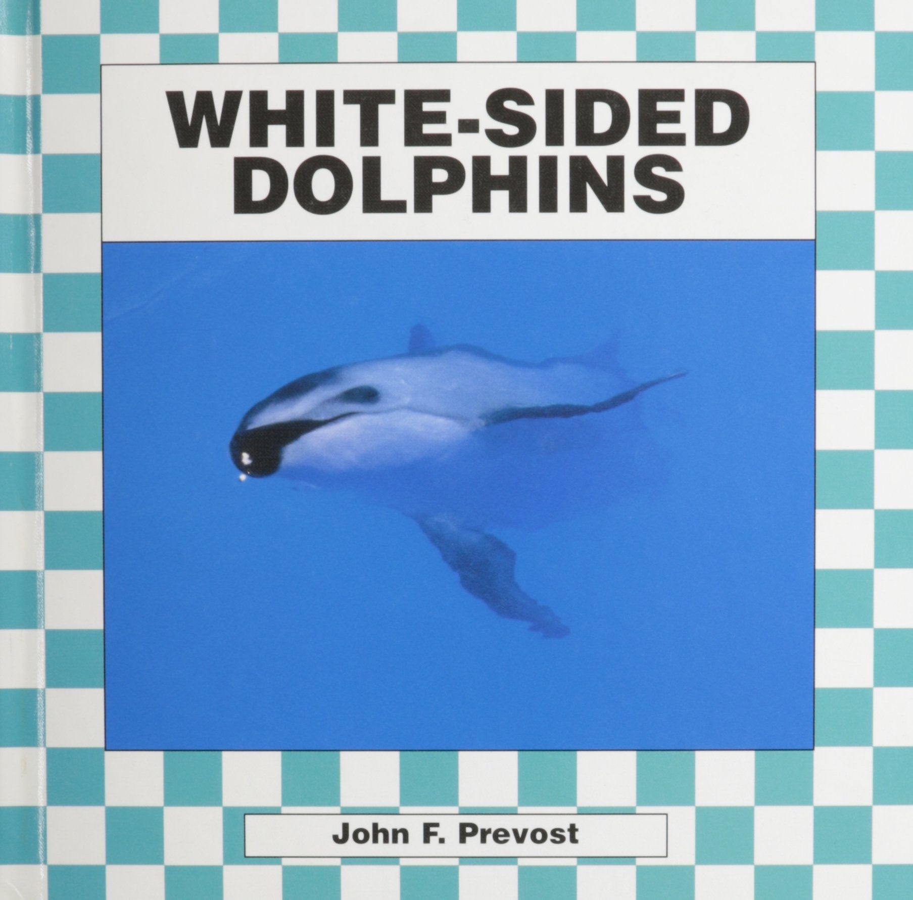 WhiteSided Dolphins,Used