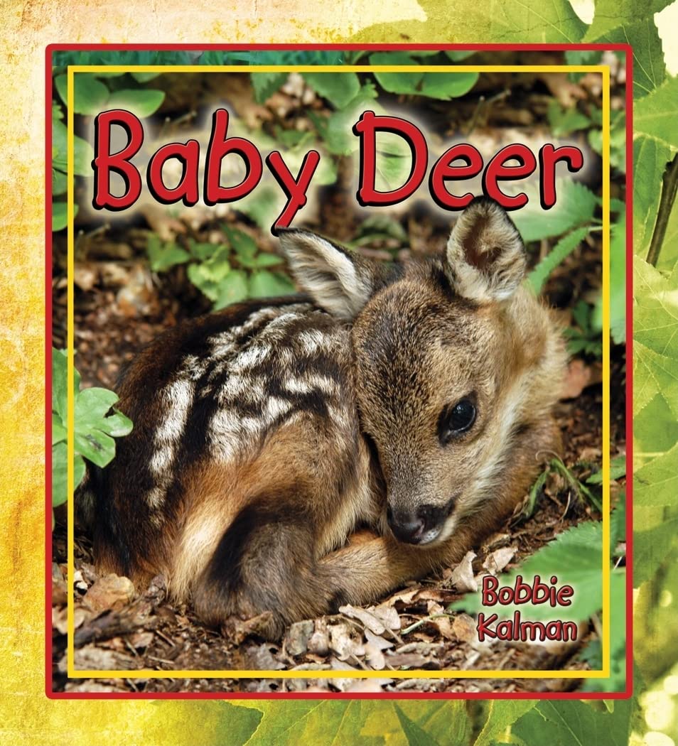 Baby Deer (It's Fun to Learn About Baby Animals, 5),Used
