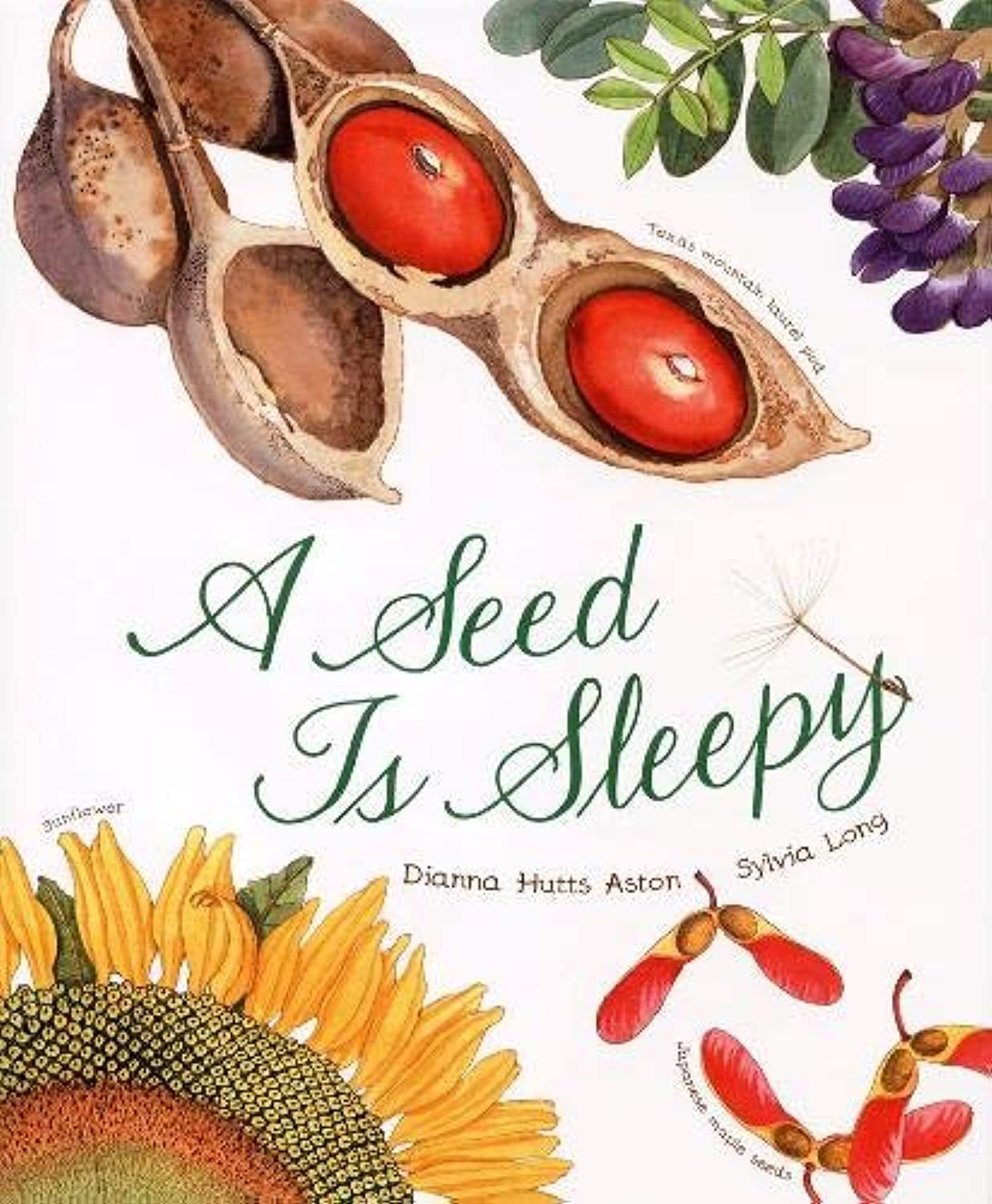 A Seed Is Sleepy (Sylvia Long),Used