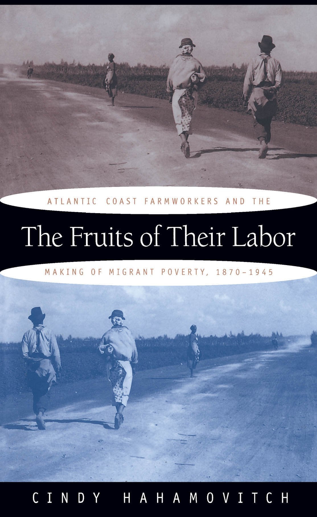The Fruits of Their Labor: Atlantic Coast Farmworkers and the Making of Migrant Poverty, 18701945,Used
