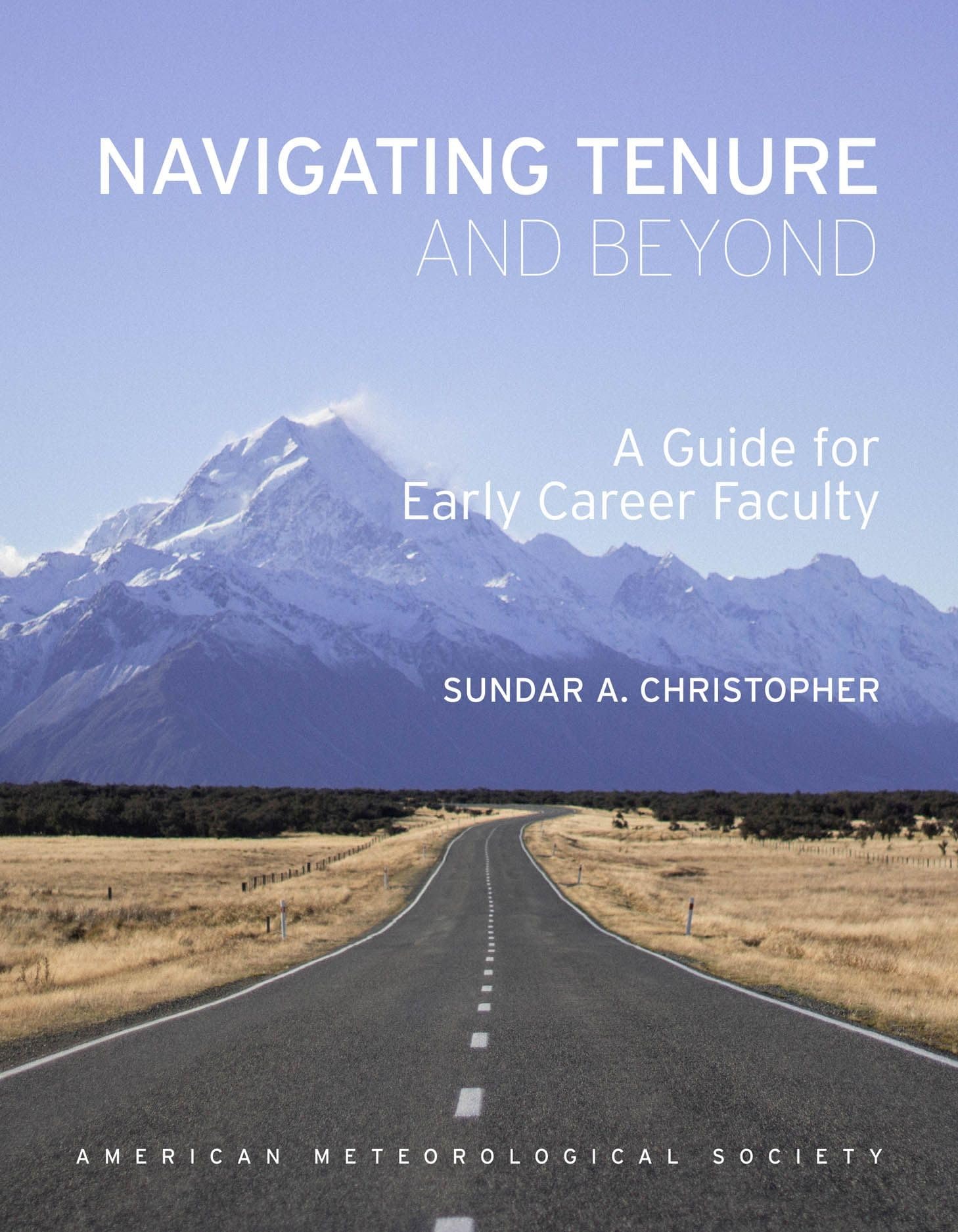 Navigating Tenure and Beyond: A Guide for Early Career Faculty,Used