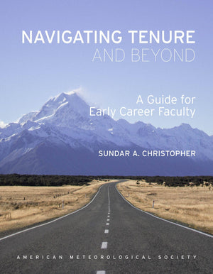 Navigating Tenure and Beyond: A Guide for Early Career Faculty,Used