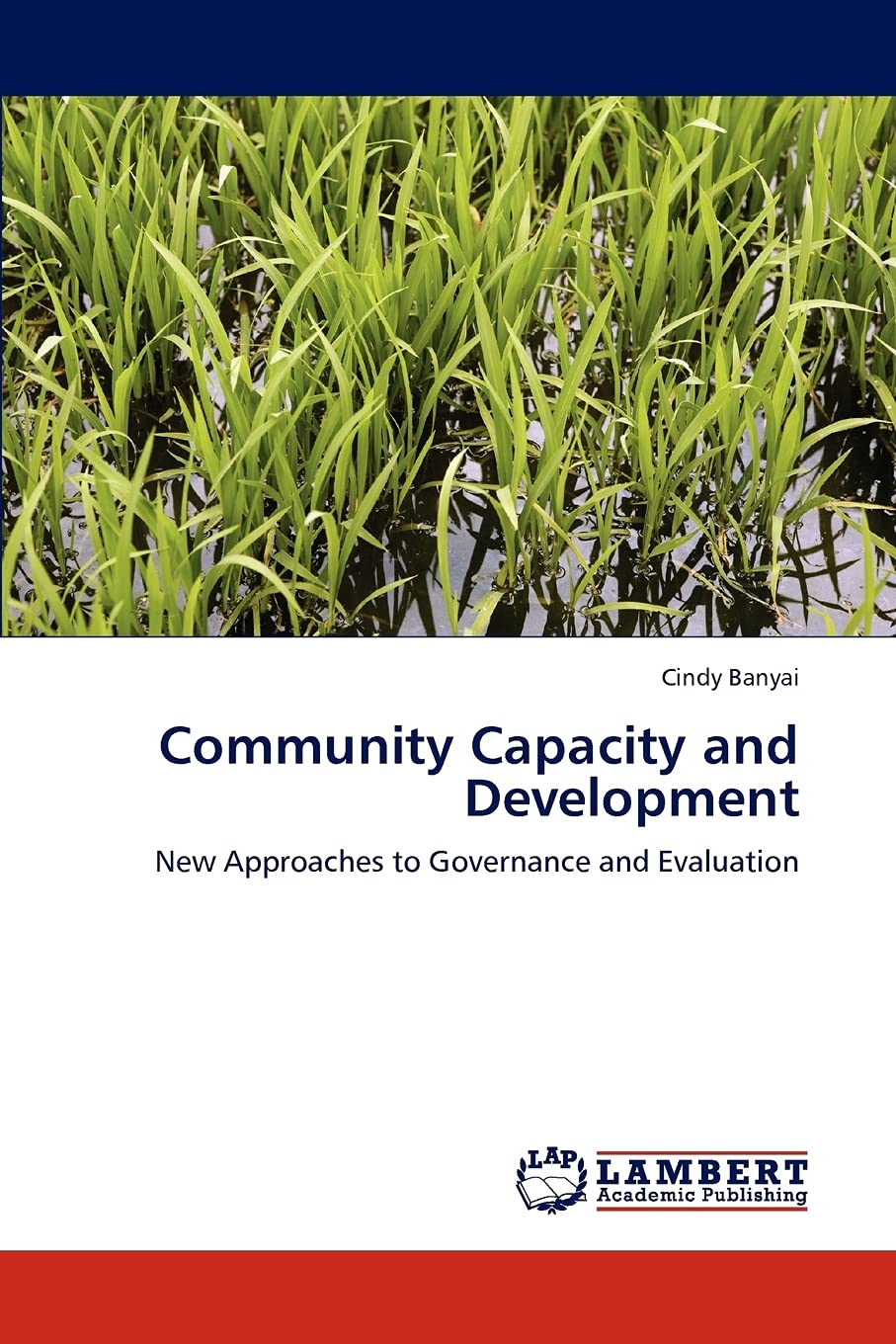 Community Capacity and Development: New Approaches to Governance and Evaluation,Used