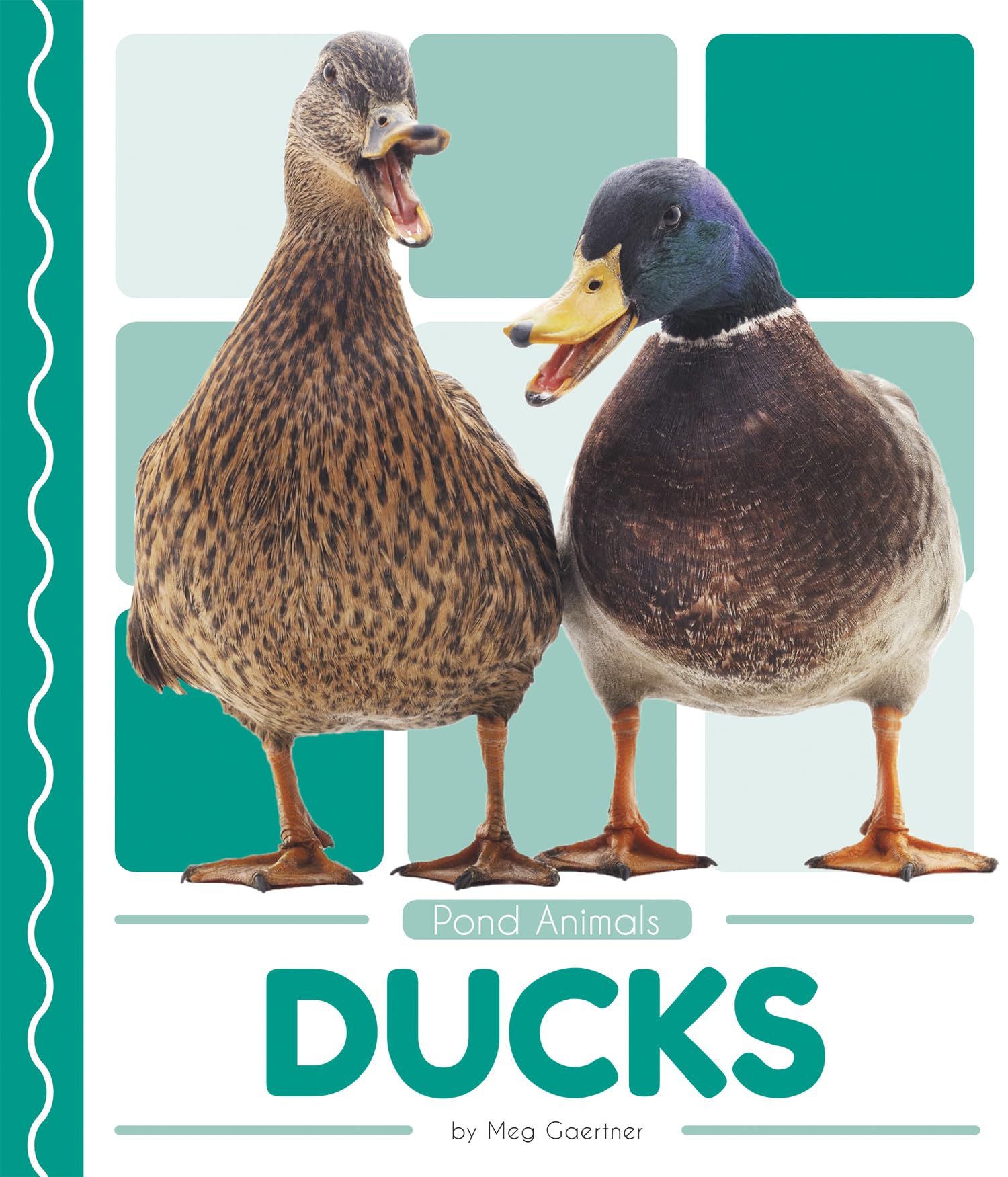 Ducks,Used