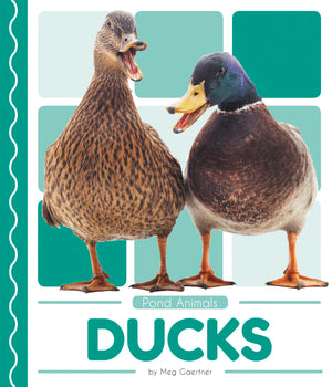 Ducks,Used