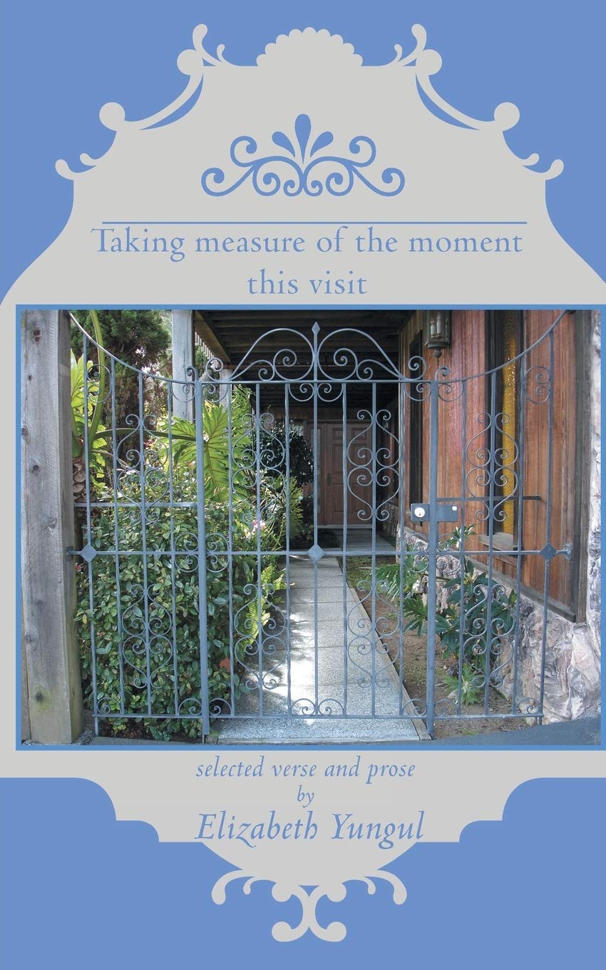 Taking Measure Of The Moment This Visit,Used