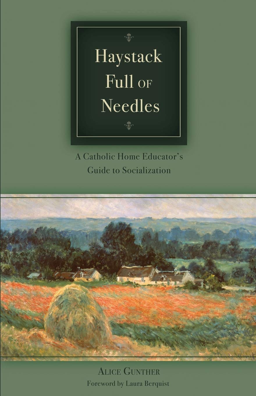 Haystack Full of Needles, A Catholic Home Educator's Guide to Socialization,Used