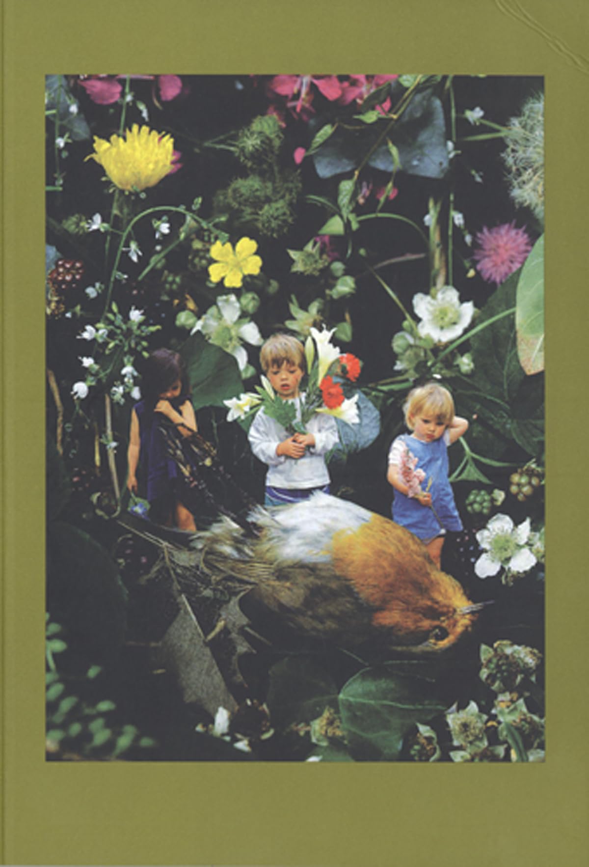 Mat Collishaw,Used