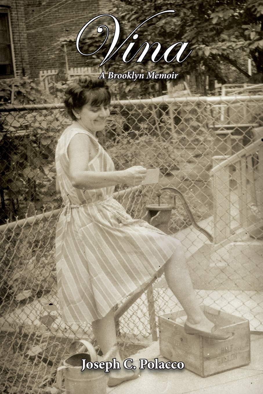 Vina: A Brooklyn Memoir,Used