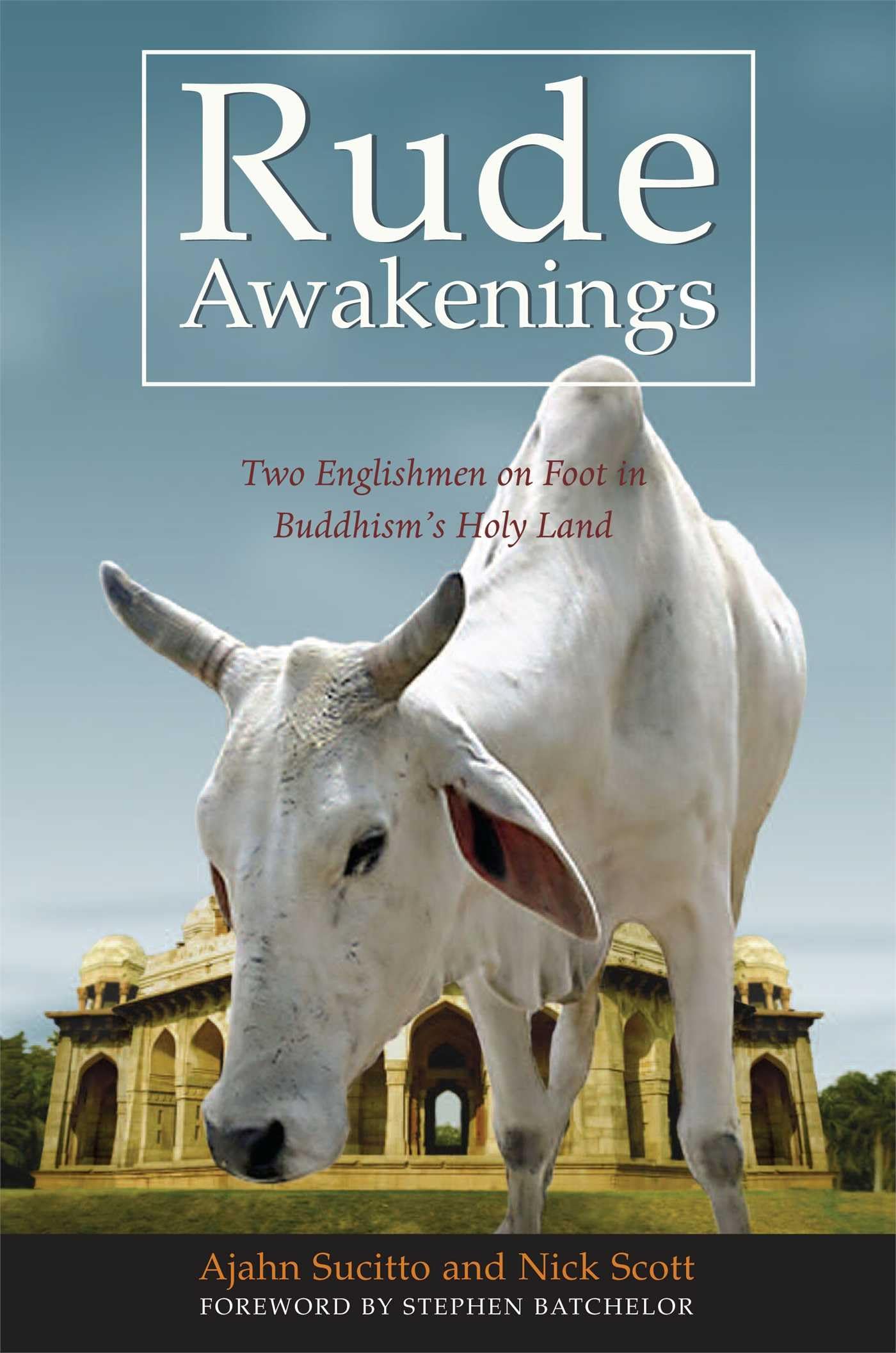 Rude Awakenings: Two Englishmen on Foot in Buddhism's Holy Land,Used
