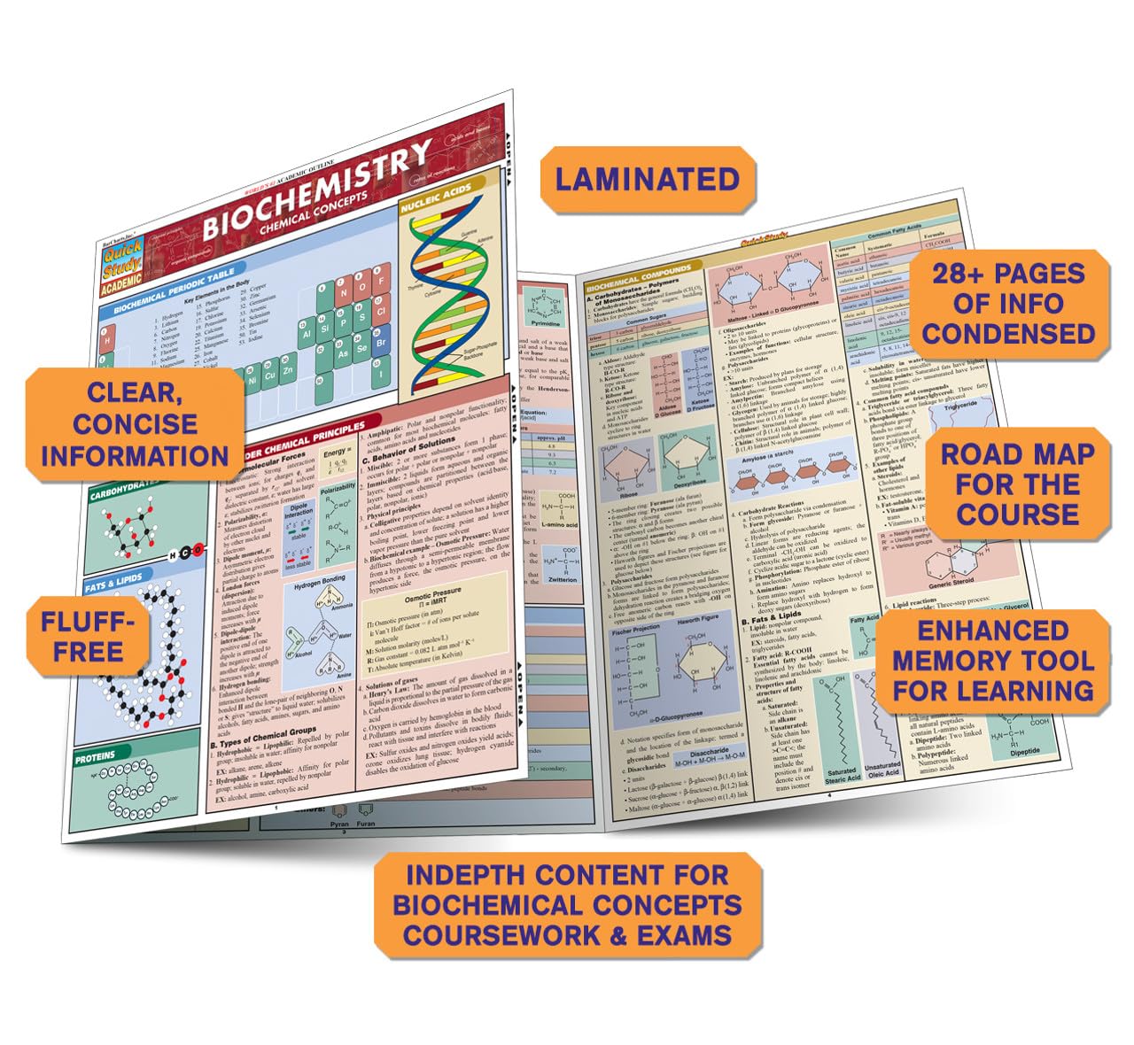 Biochemistry QuickStudy Laminated Reference Guide (QuickStudy Academic),Used