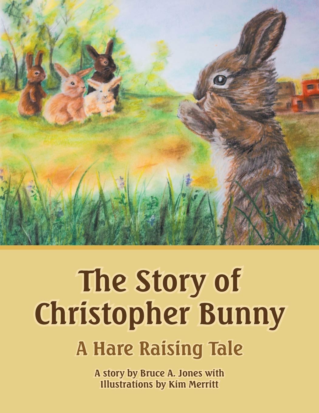 The Story of Christopher Bunny: A Hare Raising Tale,Used