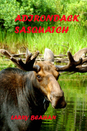 Adirondack Sasquatch,Used