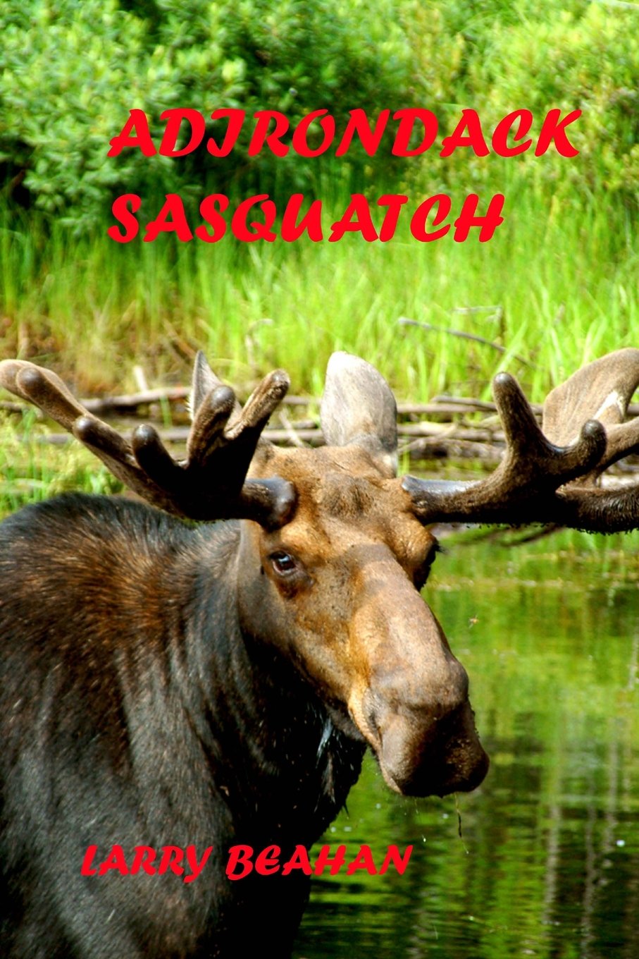 Adirondack Sasquatch,Used
