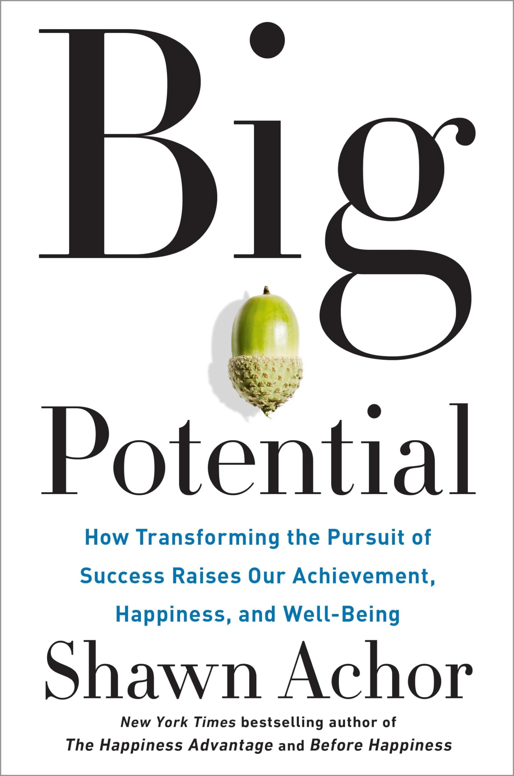 Big Potential: How Transforming the Pursuit of Success Raises Our Achievement, Happiness, and WellBeing,Used