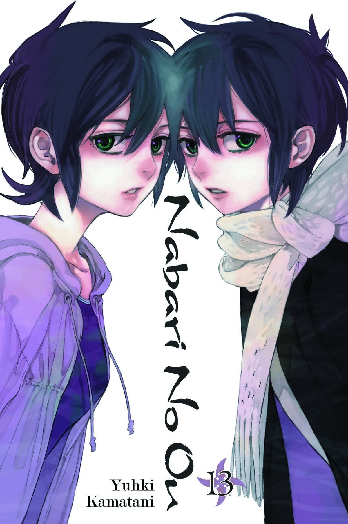Nabari No Ou, Vol. 13 (Nabari No Ou, 13)