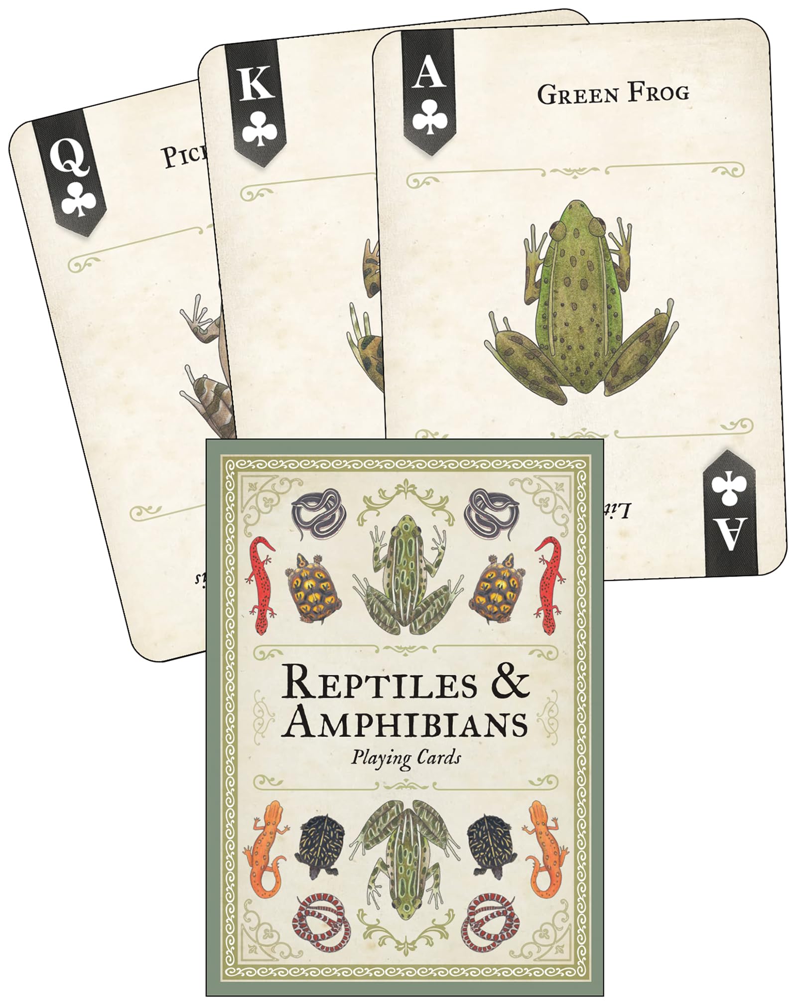 Reptiles & Amphibians Playing Cards (Art Of Nature)