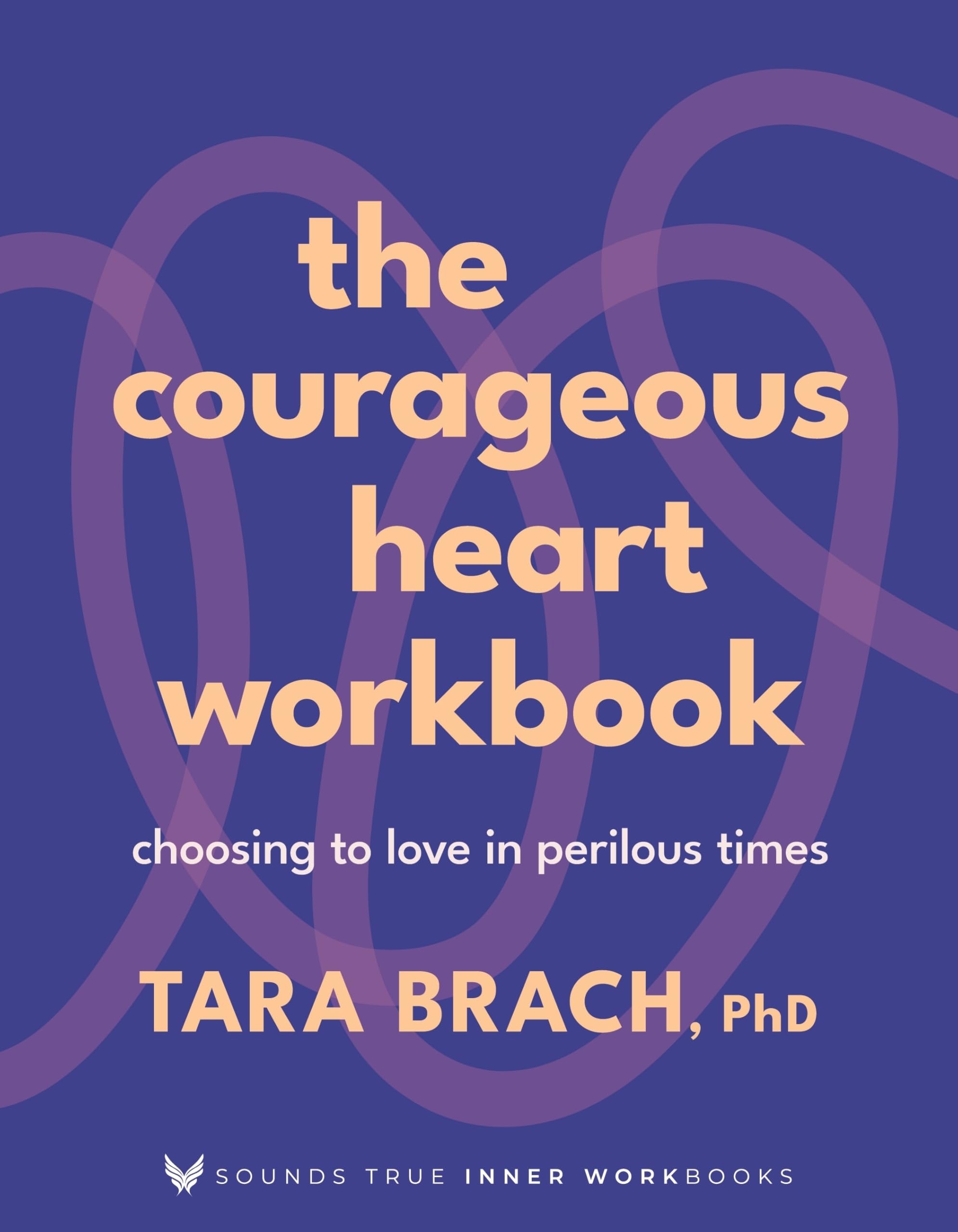The Courageous Heart Workbook: Choosing To Love In Perilous Times (Sounds True Inner Workbooks)