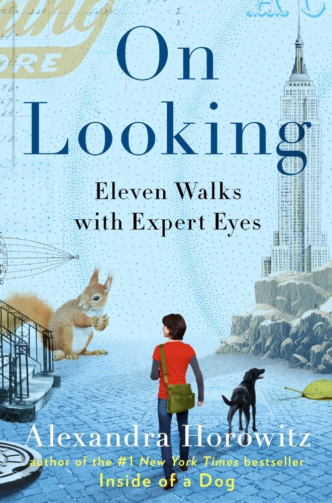 On Looking: Eleven Walks With Expert Eyes