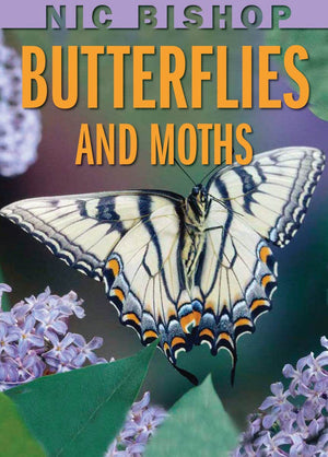 Nic Bishop: Butterflies And Moths,New