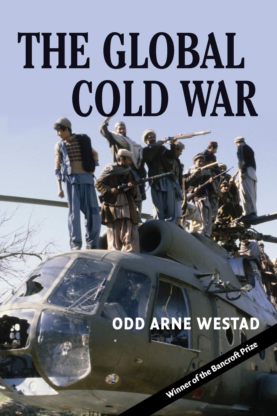 The Global Cold War: Third World Interventions And The Making Of Our Times,Used