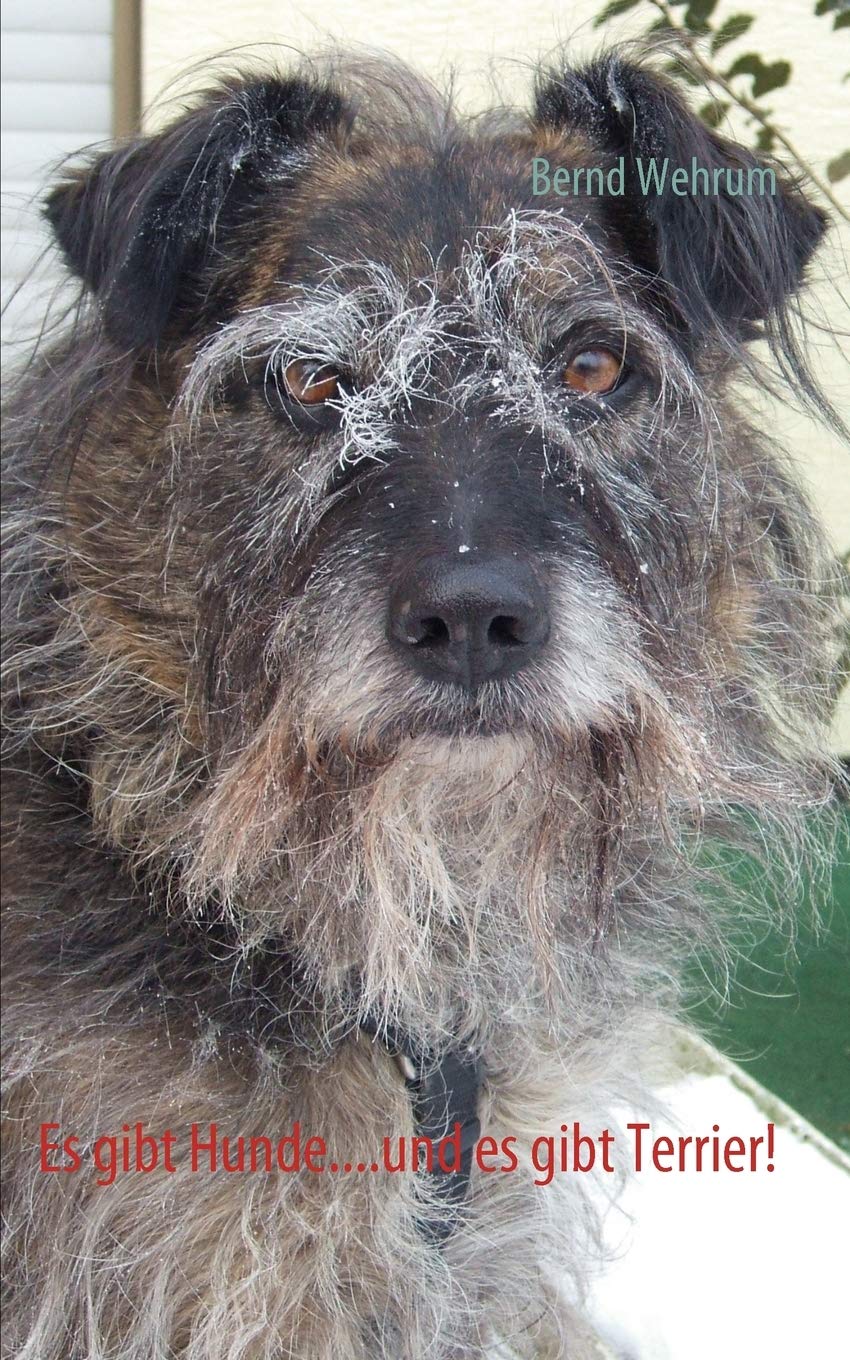 Es gibt Hunde....und es gibt Terrier!: Ein amsantes Bchlein ber das Zusammenleben mit einem liebenswerten Terriermischling (Germ,Used